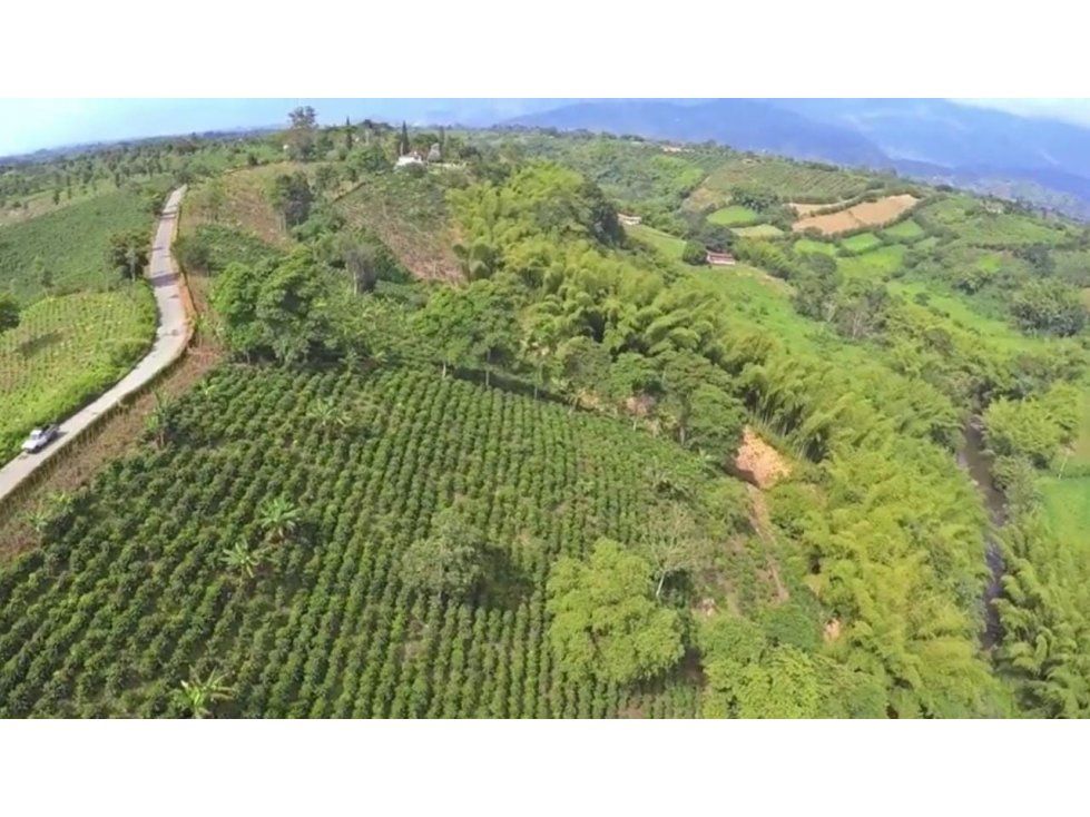 Lote en venta Quindío Armenia Sector Centro 60000 m2 Habitaciones 0 Baños 0 Garajes 0 Precio $2100000000