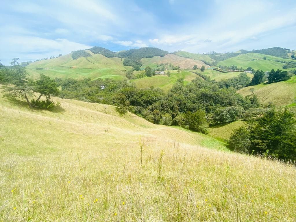 Lote en venta Antioquia La Unión La Unión 63300 m2 Habitaciones 0 Baños 0 Garajes 0 Precio $1800000000