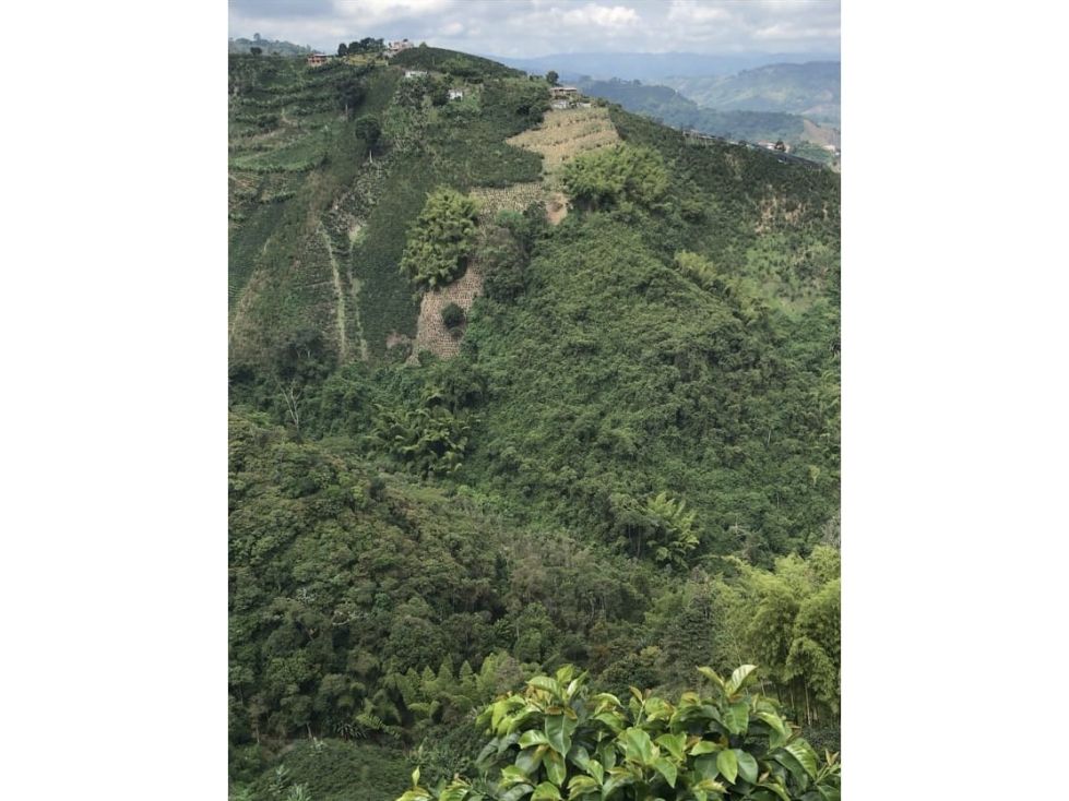 Lote en venta Caldas Manizales Manizales 210000 m2 Habitaciones 0 Baños 0 Garajes 0 Precio $850000000