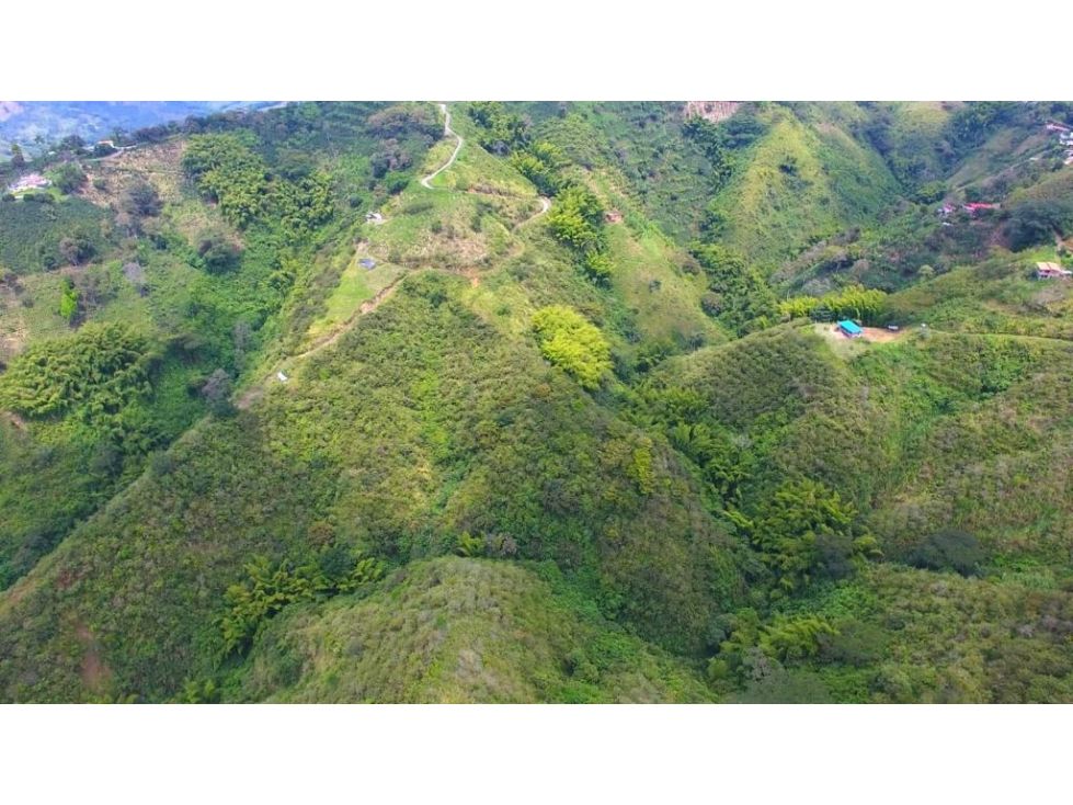 Lote en venta Caldas Manizales Manizales 77298 m2 Habitaciones 0 Baños 0 Garajes 0 Precio $340000000