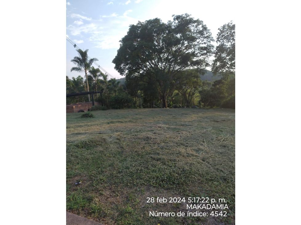 Lote en venta Caldas Palestina Palestina 1500 m2 Habitaciones 0 Baños 0 Garajes 0 Precio $200000000