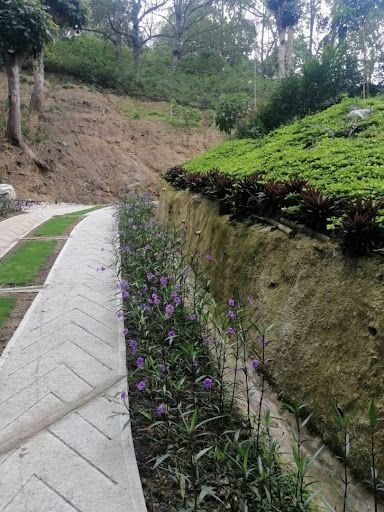 Lote en venta Santander Piedecuesta Br Paseo Cataluña 7600 m2 Habitaciones 0 Baños 0 Garajes 0 Precio $1520000000