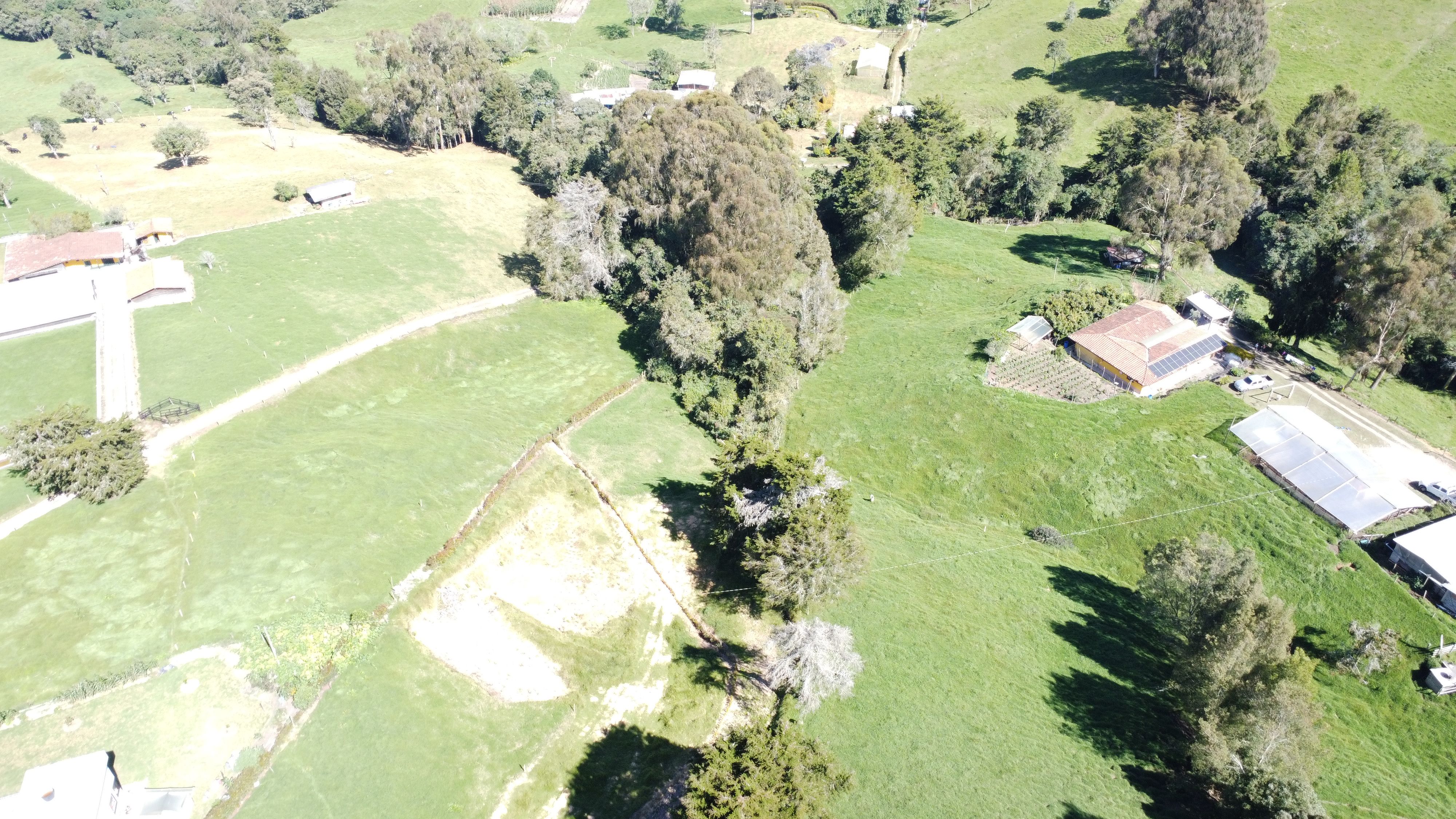 Lote en venta Antioquia San Pedro Paraje La María 2815 m2 Habitaciones 0 Baños 0 Garajes 0 Precio $200000000