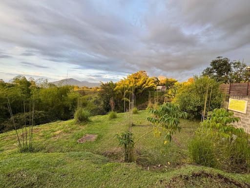 Lote en venta Risaralda Pereira Pereira 1585 m2 Habitaciones 0 Baños 0 Garajes 0 Precio $490000000