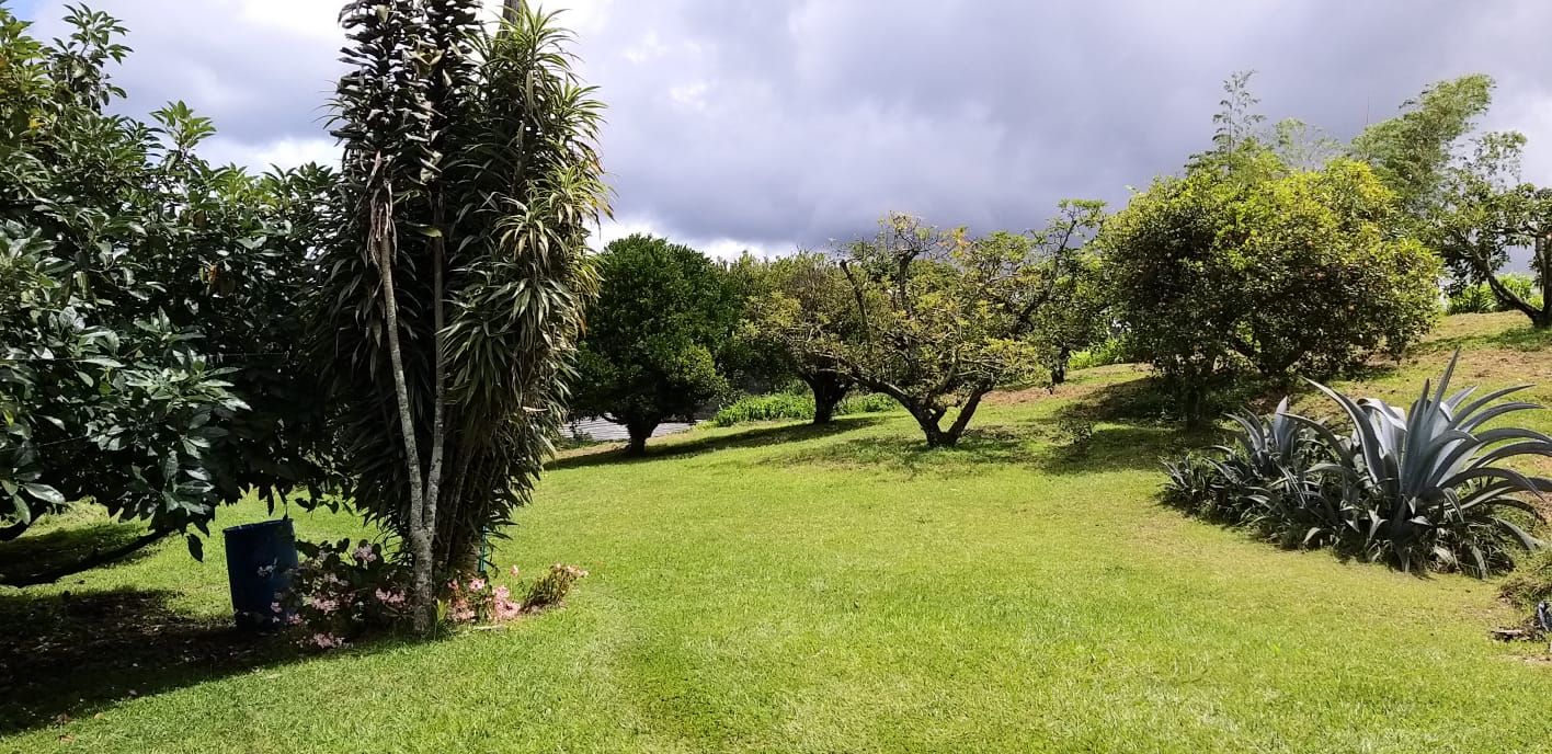 Lote en venta Antioquia Guatape Guatape 3333 m2 Habitaciones 0 Baños 1 Garajes 1 Precio $490000000