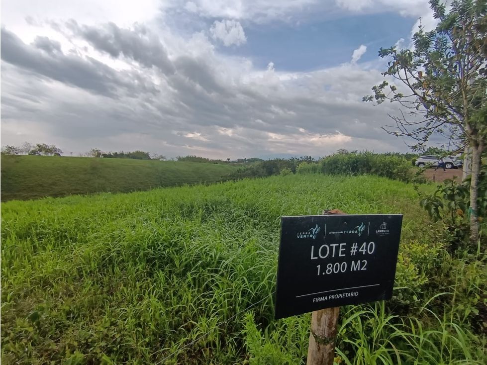 Lote en venta Valle Del Cauca Alcalá Alcala 1540 m2 Habitaciones 0 Baños 0 Garajes 0 Precio $210000000