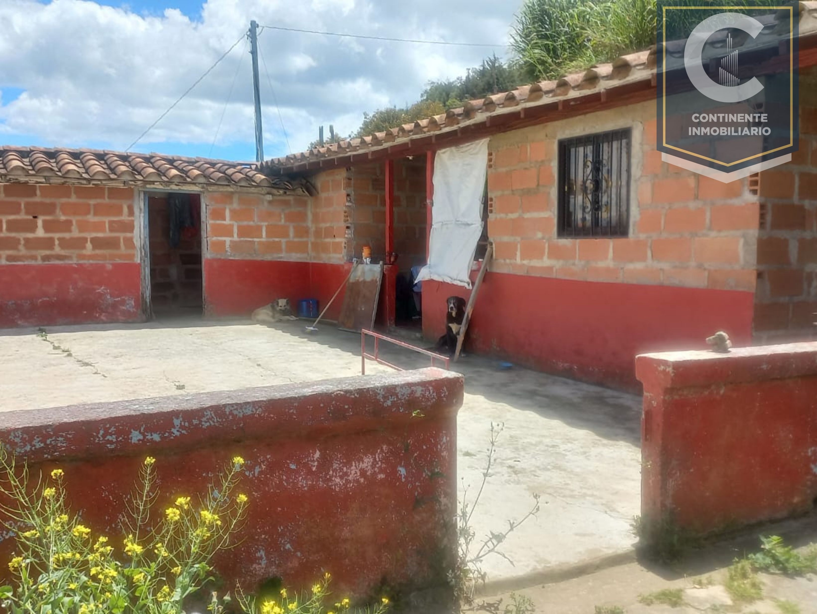 Finca en venta Antioquia San Pedro Paraje La María 6646 m2 Habitaciones 3 Baños 1 Garajes 0 Precio $220000000