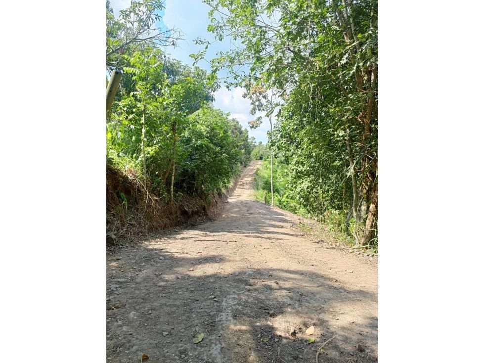 Lote en venta Cundinamarca La Mesa La Mesa 1000 m2 Habitaciones 0 Baños 0 Garajes 0 Precio $200000000