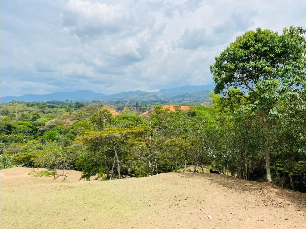 Lote en venta Cauca Santander De Quilichao Olaya Herrera 510 m2 Habitaciones 0 Baños 1 Garajes 10 Precio $130000000