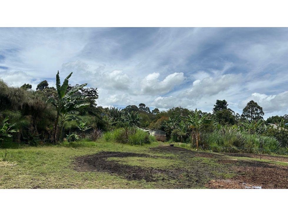 Lote en venta Antioquia La Ceja La Ceja 2500 m2 Habitaciones 0 Baños 0 Garajes 0 Precio $680000000
