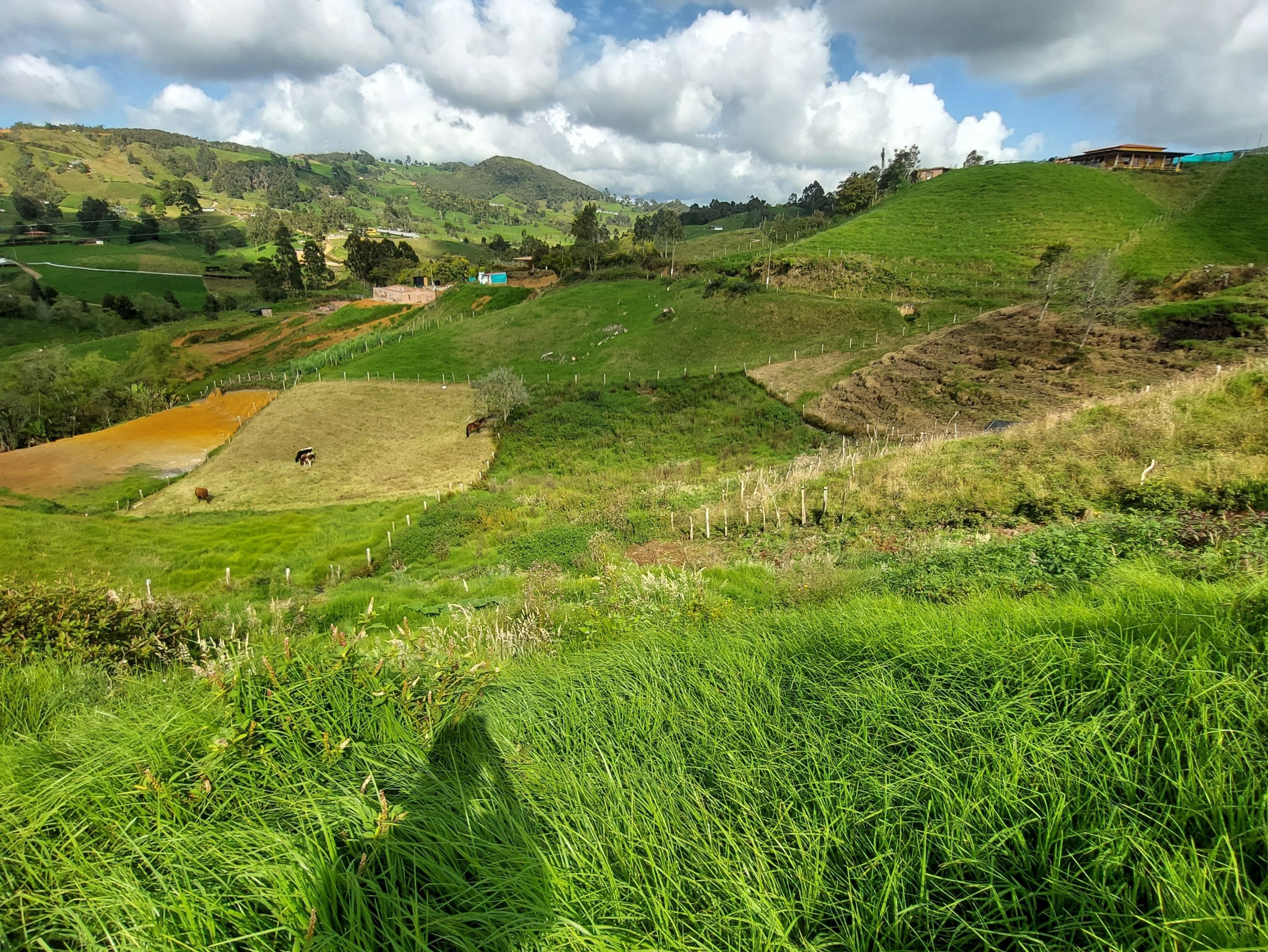Lote en venta Antioquia San Pedro Paraje La María 2631 m2 Habitaciones 0 Baños 0 Garajes 0 Precio $250000000