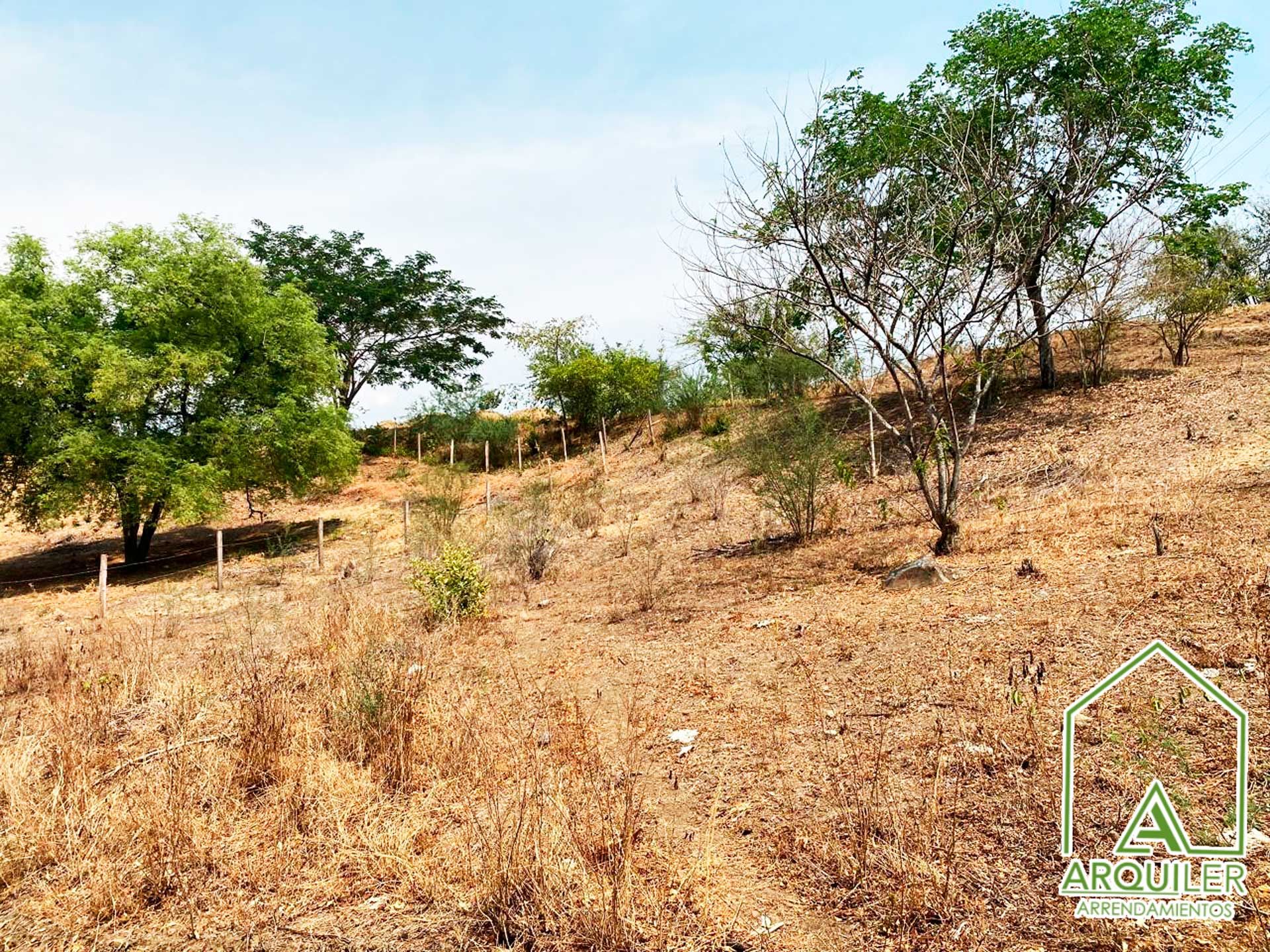 Lote en venta Antioquia Sopetrán Cayunda Bajo 3300 m2 Habitaciones 0 Baños 1 Garajes 0 Precio $300000000