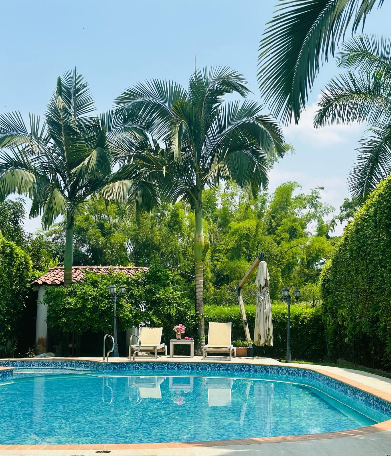Casa Campestre en arriendo o venta Risaralda Pereira Br San Fernando 300 m2 Habitaciones 3 Baños 4 Garajes 5 Precio venta $800000000 Precio arriendo $3750000