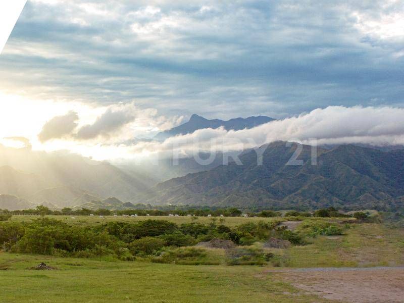 Lote en venta Tolima Alvarado Alvarado 271 m2 Habitaciones 0 Baños 1 Garajes 0 Precio $174000000