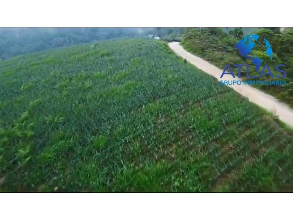 Lote en venta Santander Lebríja Lebríja 46000 m2 Habitaciones 0 Baños 1 Garajes 1 Precio $450000000