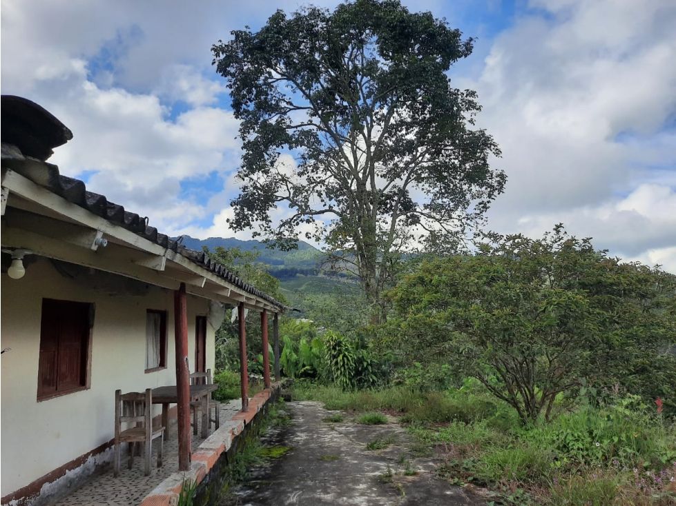 Finca en venta Antioquia Jericó Jericó 90000 m2 Habitaciones 0 Baños 0 Garajes 0 Precio $1250000000