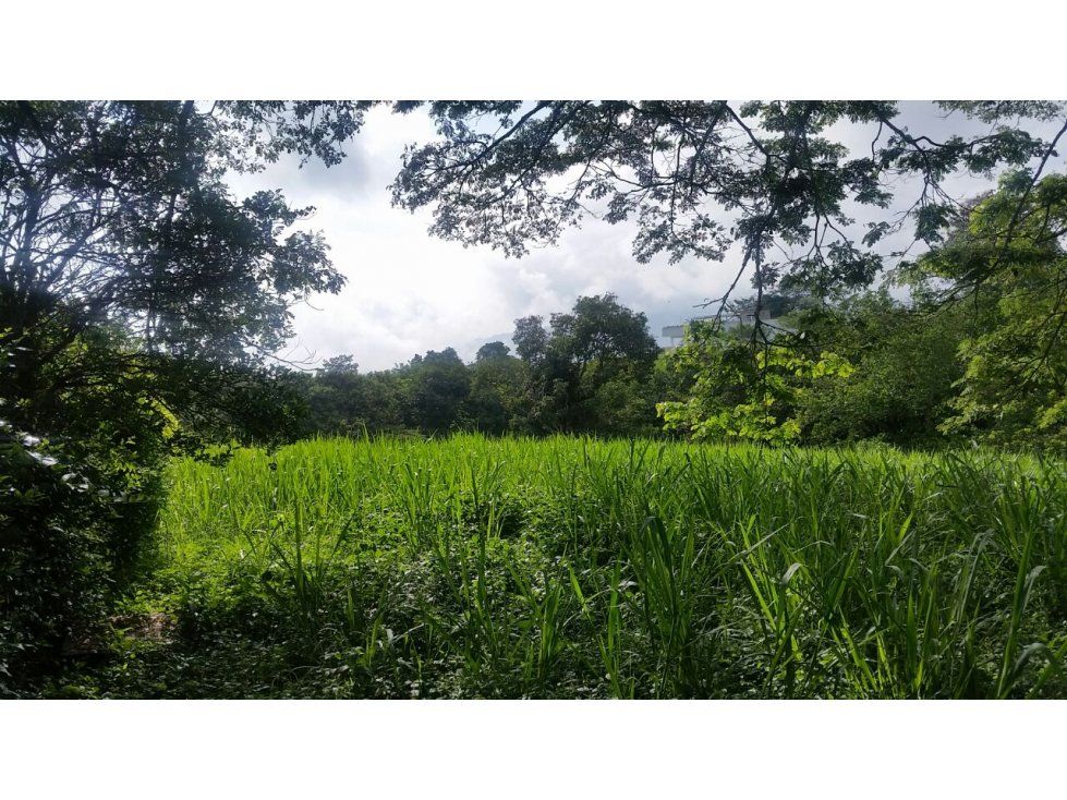 Lote en venta Caldas Palestina Palestina 2210 m2 Habitaciones 0 Baños 0 Garajes 0 Precio $187850000