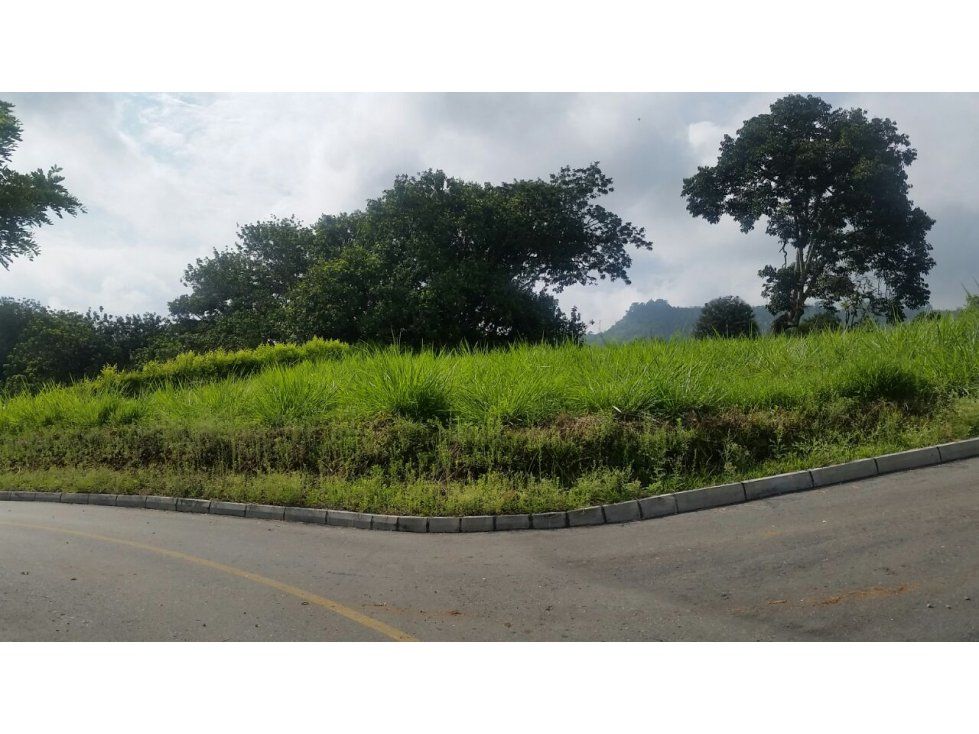 Lote en venta Caldas Palestina Santagueda 2925 m2 Habitaciones 0 Baños 0 Garajes 0 Precio $254475000
