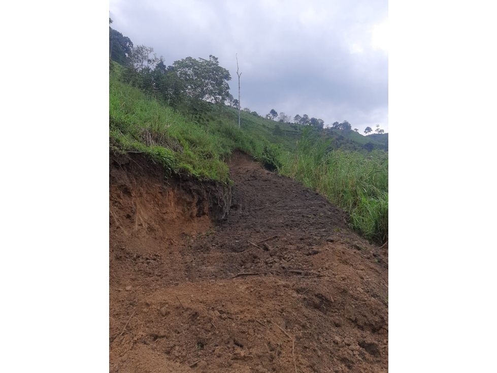 Lote en venta Caldas Manizales La Linda 14000 m2 Habitaciones 0 Baños 0 Garajes 0 Precio $150000000