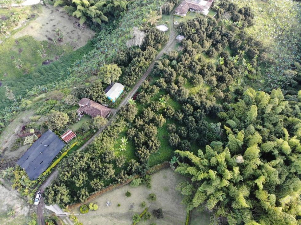 Lote en venta Caldas Palestina Santagueda 2500 m2 Habitaciones 0 Baños 0 Garajes 0 Precio $160000000