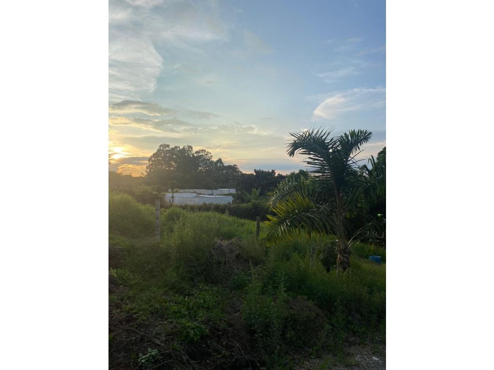 Lote en venta Caldas Manizales Arenillo 2338 m2 Habitaciones 0 Baños 0 Garajes 0 Precio $750000000