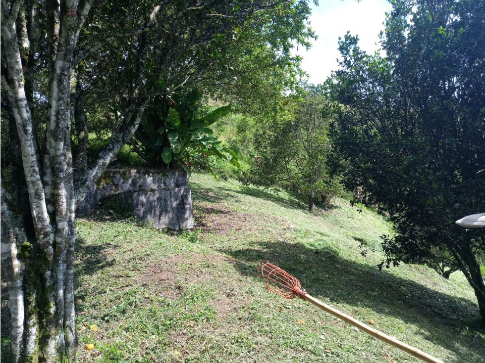 Lote en venta Caldas Manizales La Cabaña 155 m2 Habitaciones 0 Baños 0 Garajes 0 Precio $155000000