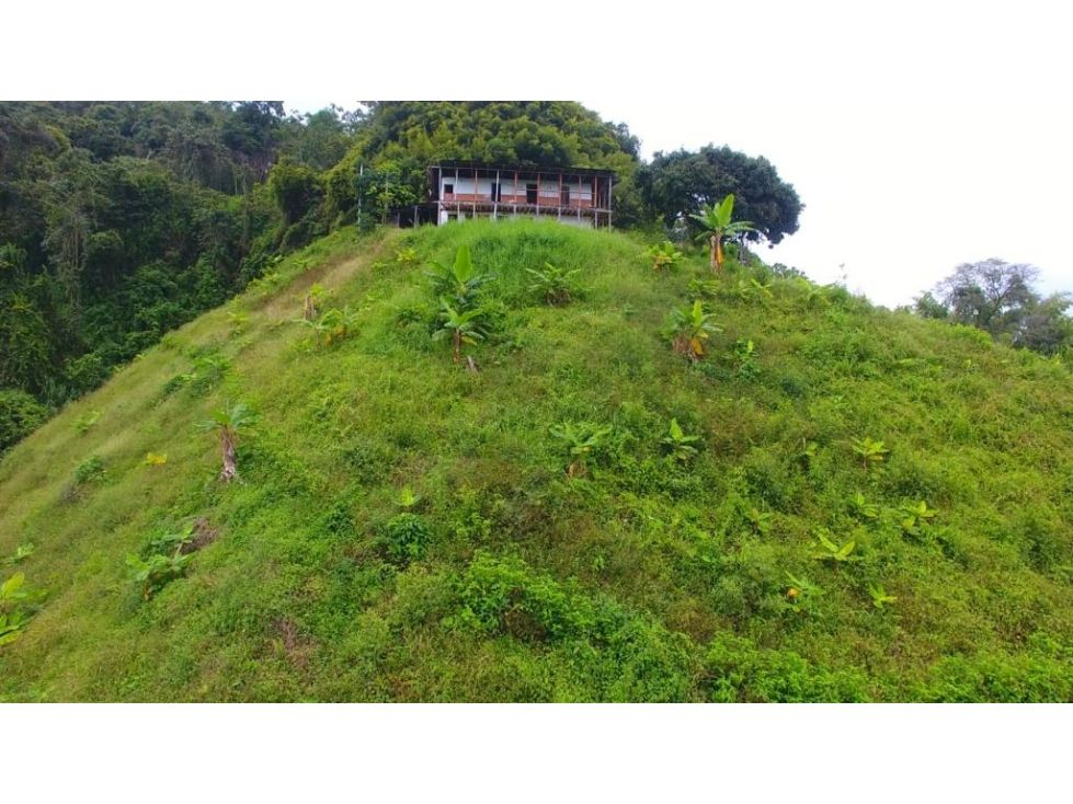 Finca en venta Caldas Manizales Vereda San Peregrino 160 m2 Habitaciones 3 Baños 1 Garajes 0 Precio $350000000