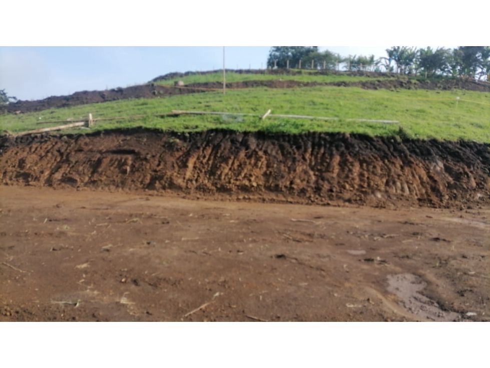 Lote en venta Caldas Palestina Santagueda 2500 m2 Habitaciones 0 Baños 0 Garajes 0 Precio $200000000