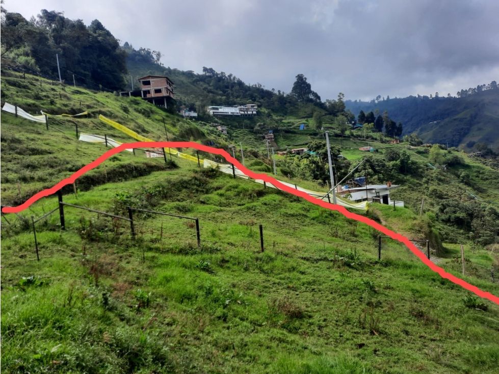 Lote en venta Caldas Villamaría Villamaría 220 m2 Habitaciones 0 Baños 0 Garajes 0 Precio $80000000