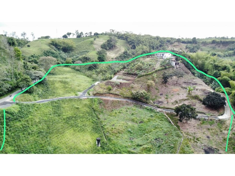 Lote en venta Caldas Palestina Palestina 2500 m2 Habitaciones 0 Baños 0 Garajes 0 Precio $625000000