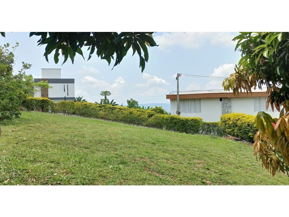 Lote en venta Caldas Palestina Palestina 526 m2 Habitaciones 0 Baños 0 Garajes 0 Precio $170000000