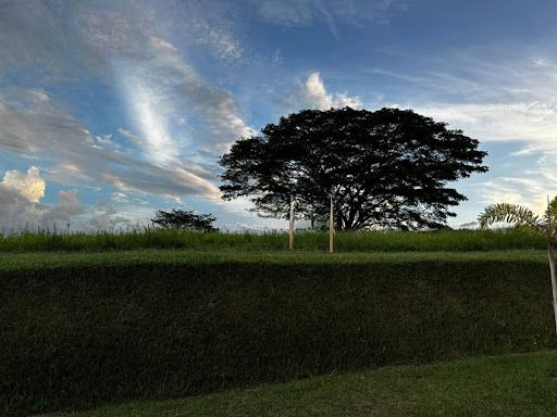 Lote en venta Risaralda Pereira Pereira 3778 m2 Habitaciones 0 Baños 0 Garajes 0 Precio $1889000000