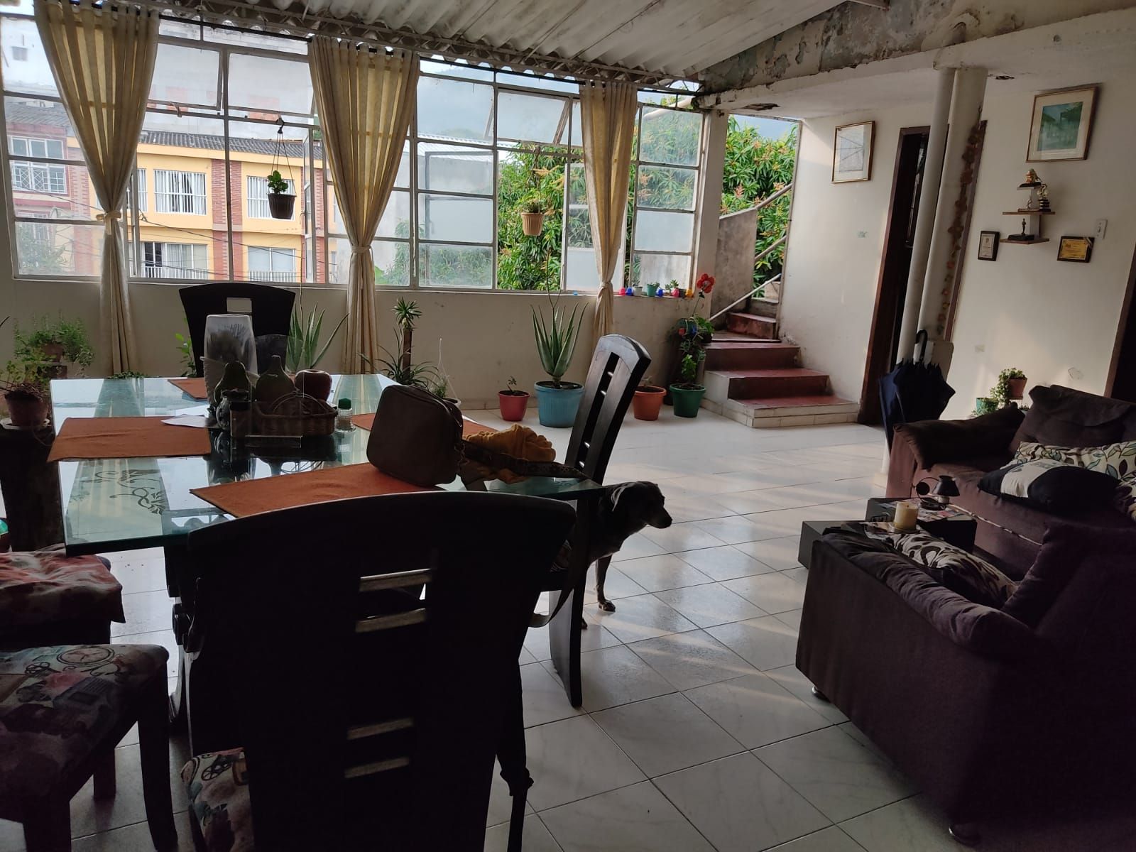 Casa en venta Tolima Ibagué Interlaken 460 m2 Habitaciones 6 Baños 4 Garajes 0 Precio $900000000