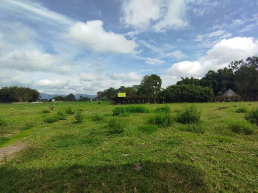 Lote en arriendo Antioquia Rionegro Rionegro 8000 m2 Habitaciones 0 Baños 0 Garajes 0 Precio $30000000