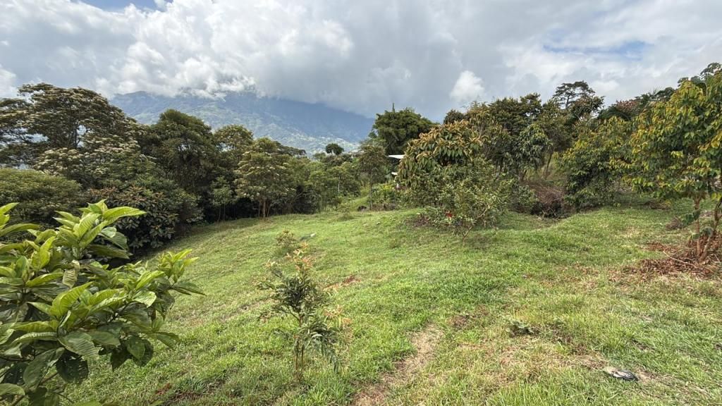 Lote en venta Antioquia Cocorná Cocorna 1200 m2 Habitaciones 0 Baños 0 Garajes 0 Precio $120000000