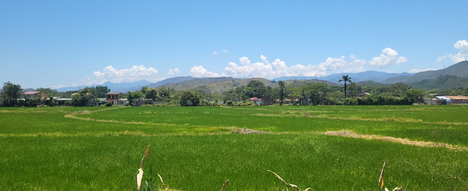 Finca en venta Valle Del Cauca Jamundí Jamundí 300 m2 Habitaciones 3 Baños 2 Garajes 1 Precio $1600000000