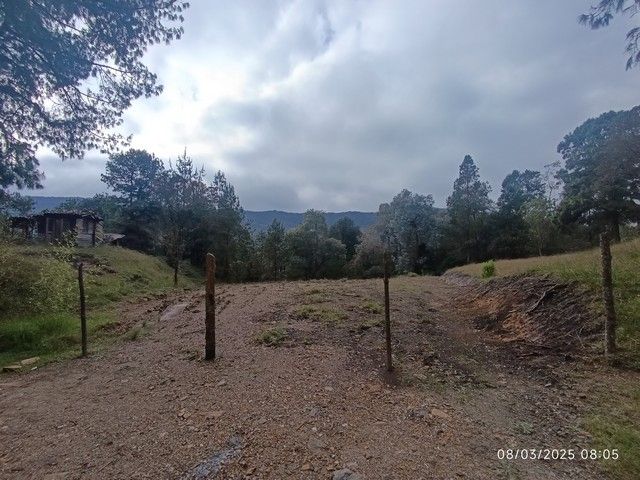 Lote en venta Antioquia Envigado La Mesa 1 m2 Habitaciones 0 Baños 0 Garajes 0 Precio $1300000000