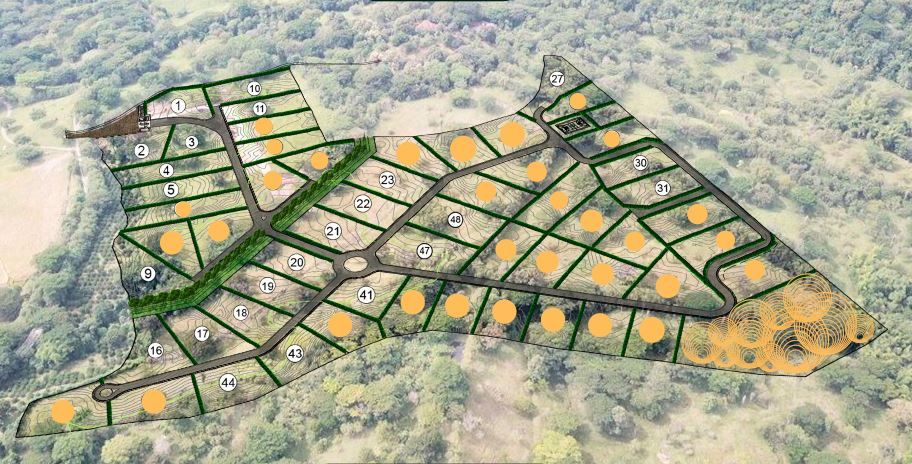 Lote en venta Antioquia La Pintada La Pintada 0 m2 Habitaciones 0 Baños 0 Garajes 0 Precio $256785000