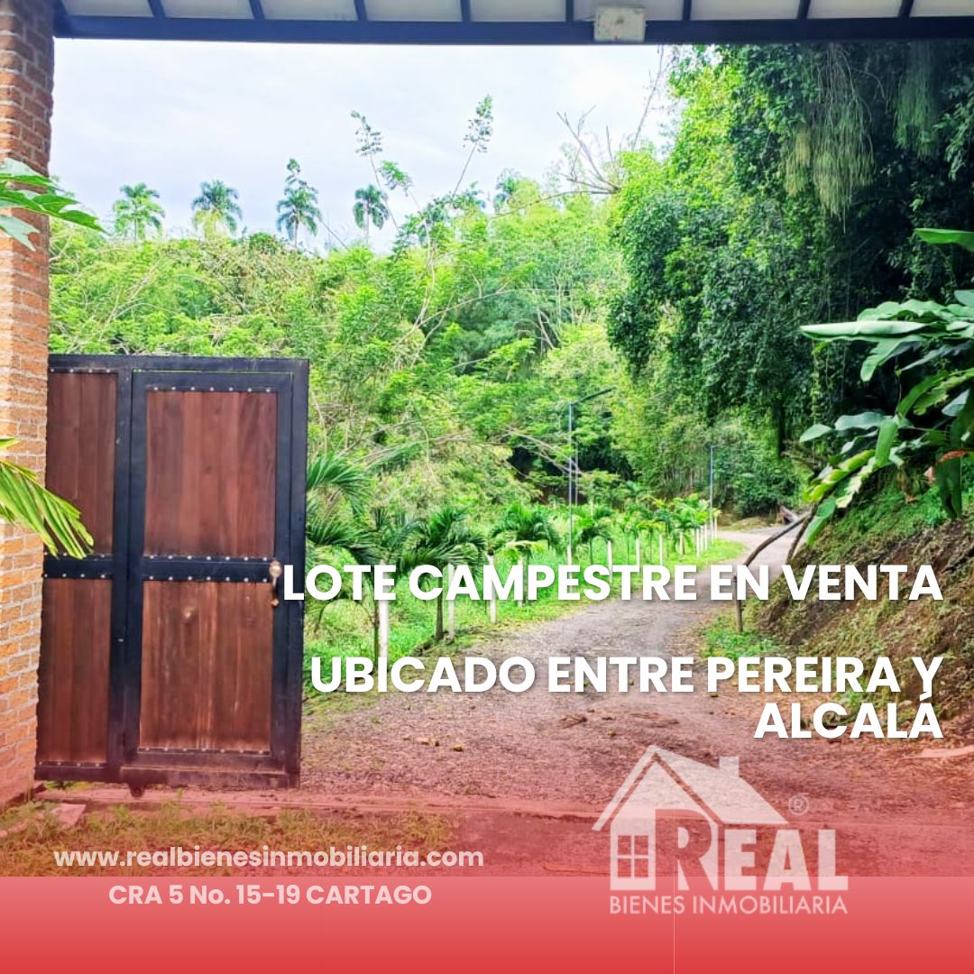 Lote en venta Risaralda Pereira Br San Fernando 2000 m2 Habitaciones 0 Baños 0 Garajes 0 Precio $350000000