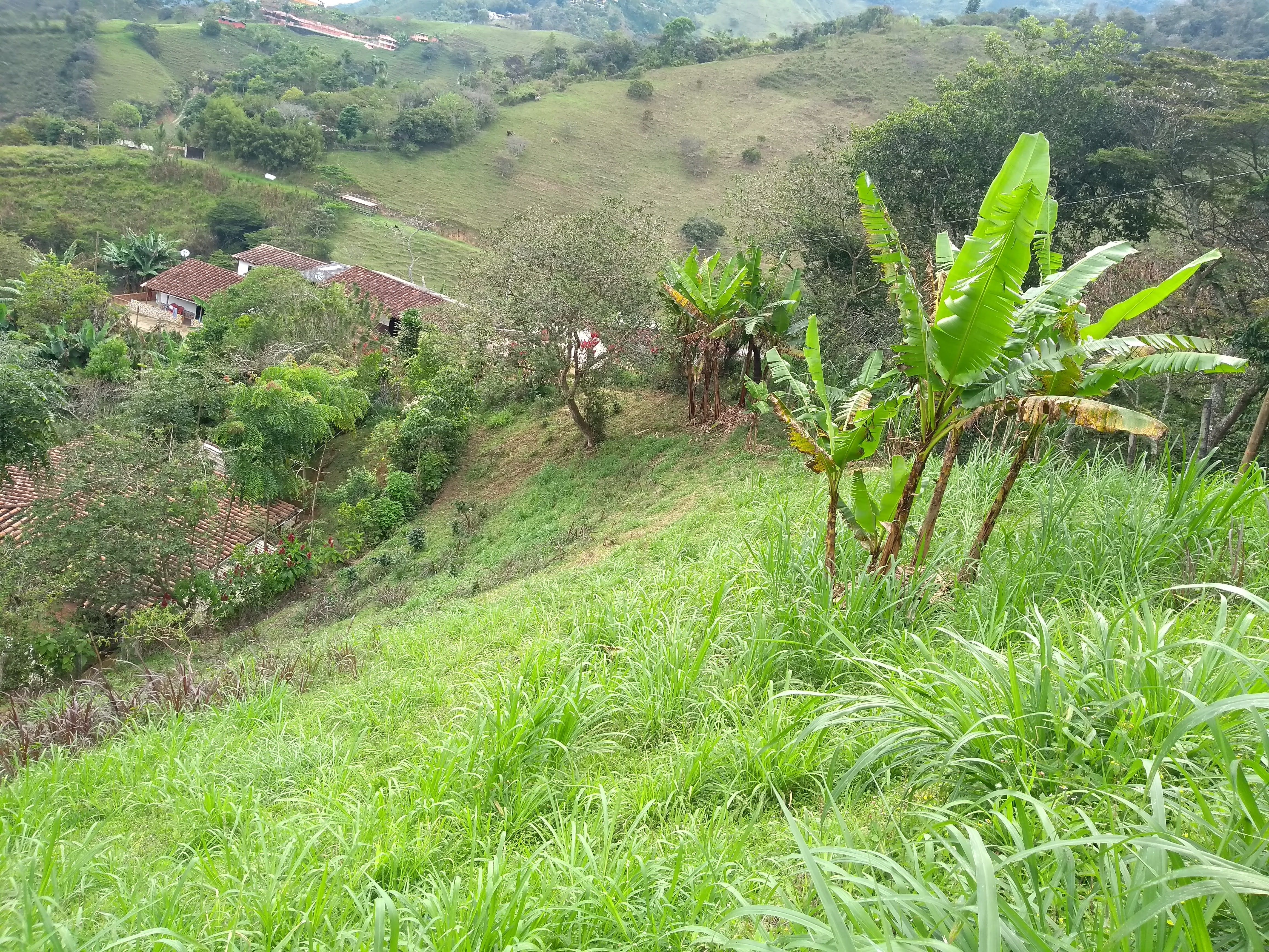 Lote en venta Antioquia Barbosa Centro 3700 m2 Habitaciones 0 Baños 0 Garajes 0 Precio $400000000