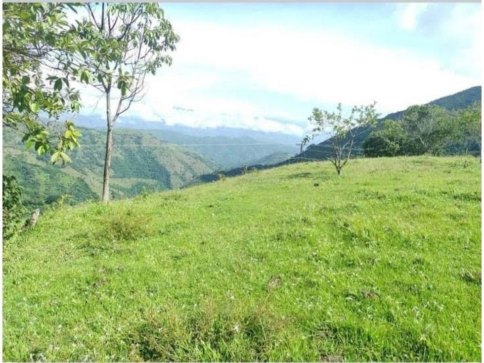 Lote en venta Antioquia San Jerónimo San Jerónimo 205000 m2 Habitaciones 0 Baños 0 Garajes 0 Precio $2100000000
