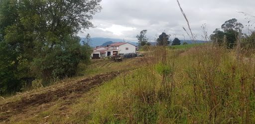 Finca en venta Boyacá Duitama Centro 289 m2 Habitaciones 5 Baños 2 Garajes 0 Precio $850000000