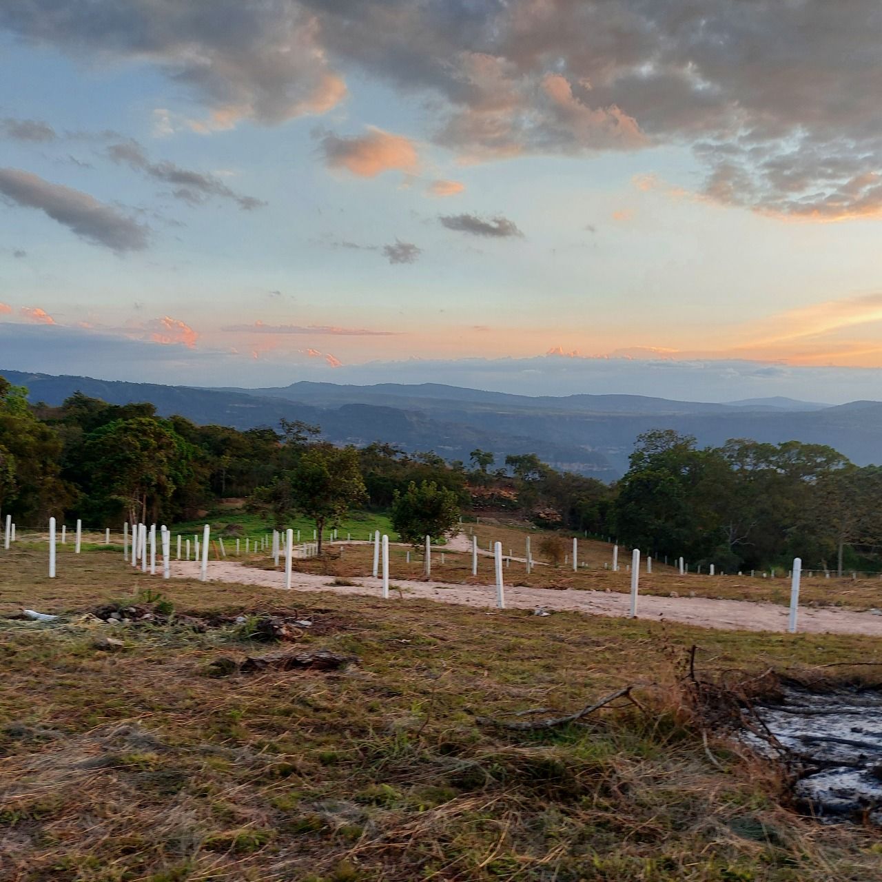 Lote en venta Santander Floridablanca Lagos Ii 1250 m2 Habitaciones 0 Baños 0 Garajes 0 Precio $85000000