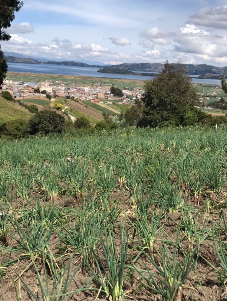 Lote en venta Boyacá Aquitania Aquitania 0 m2 Habitaciones 0 Baños 0 Garajes 0 Precio $130000000