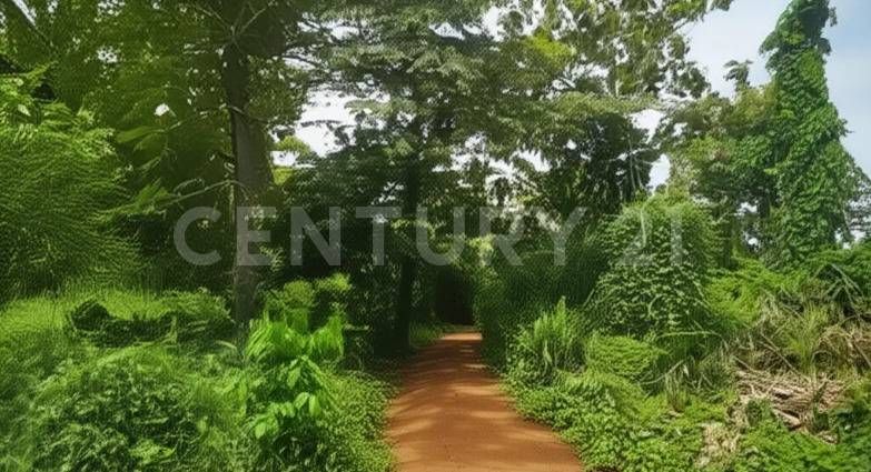 Lote en venta Antioquia Turbo Turbo 0 m2 Habitaciones 0 Baños 0 Garajes 0 Precio $1625000000