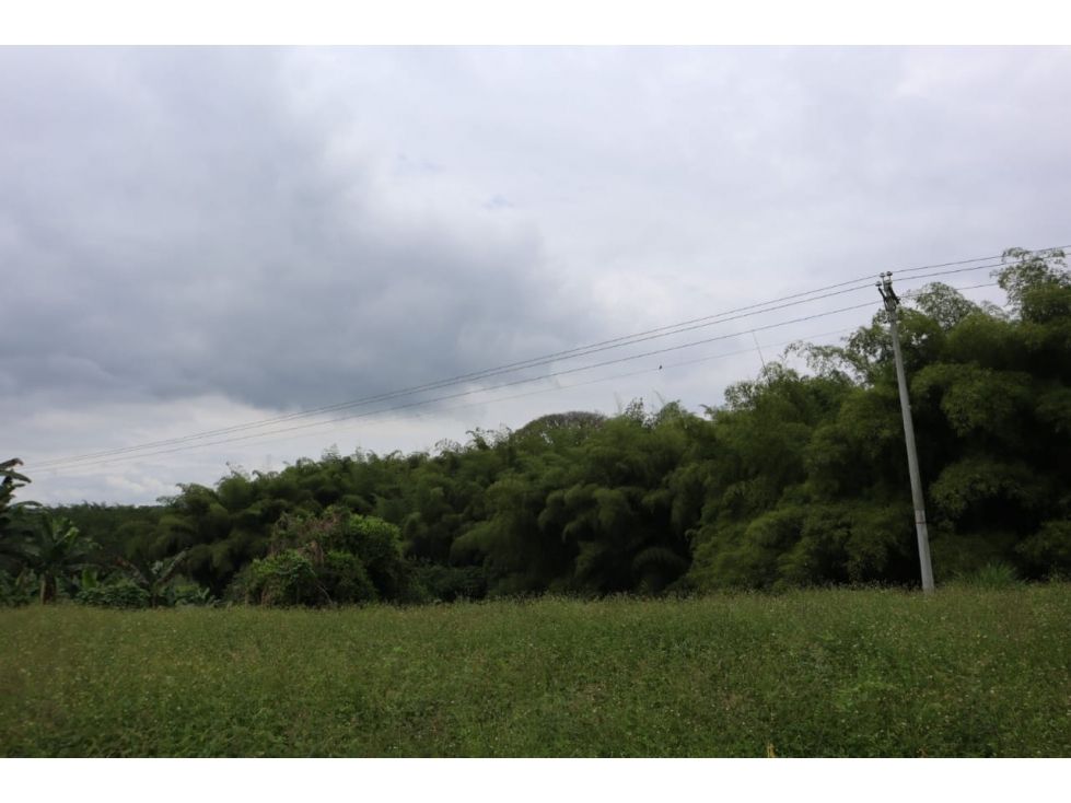 Lote en venta Quindío La Tebaida Ub El Cantarito 10000 m2 Habitaciones 0 Baños 0 Garajes 0 Precio $400000000