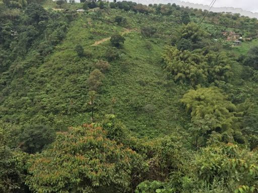 Lote en venta Risaralda Pereira Pereira 500 m2 Habitaciones 0 Baños 0 Garajes 0 Precio $600000000