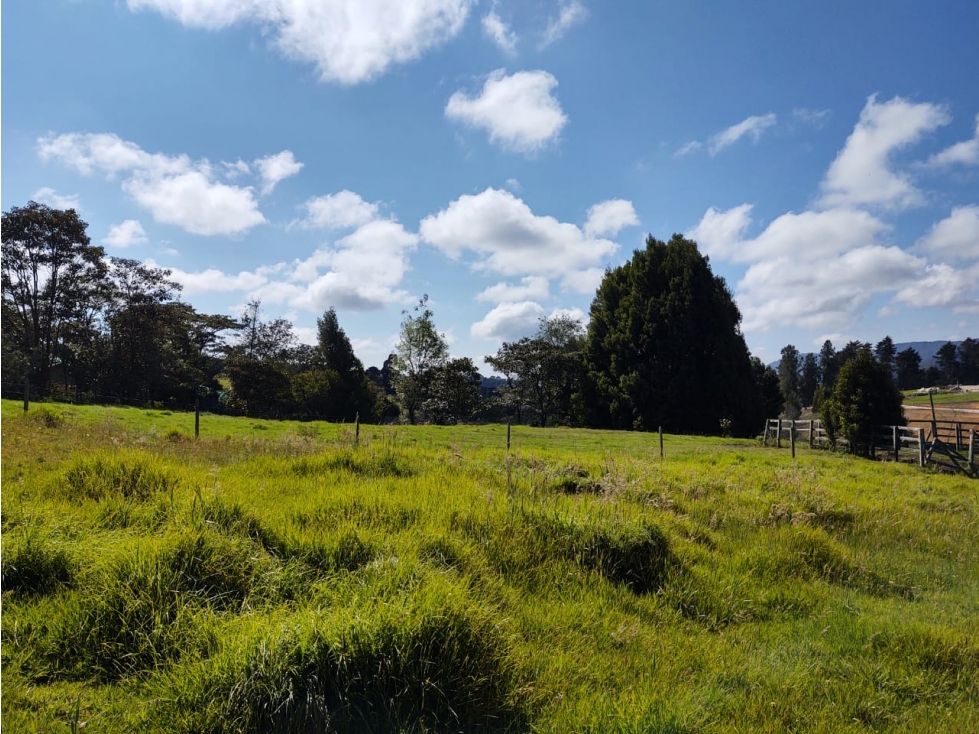 Lote en venta Antioquia Envigado Envigado 5000 m2 Habitaciones 0 Baños 0 Garajes 0 Precio $1400000000