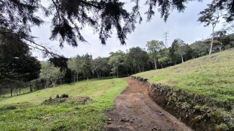 Lote en venta Antioquia Medellín Medellín 10000 m2 Habitaciones 0 Baños 0 Garajes 0 Precio $1100000000