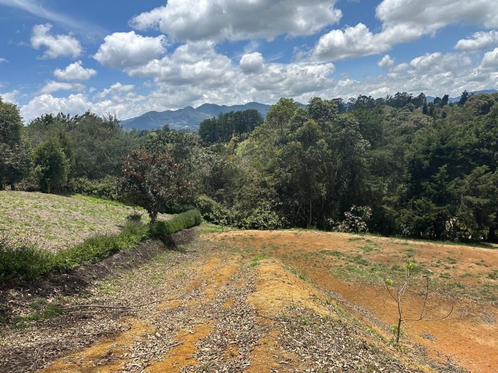 Lote en venta Antioquia El Carmen De Viboral El Carmen De Viboral 3331 m2 Habitaciones 0 Baños 0 Garajes 0 Precio $799440000